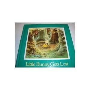 Stock image for Little Bunny Gets Lost for sale by MusicMagpie