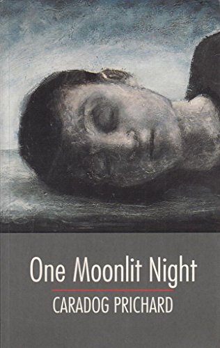 Stock image for One Moonlit Night for sale by AwesomeBooks