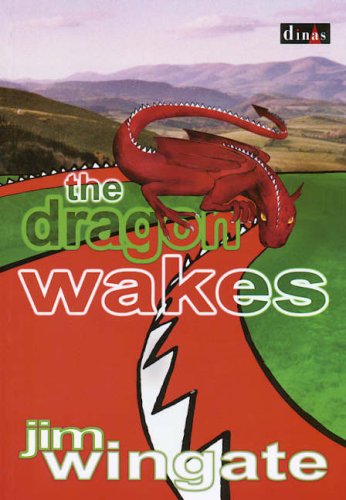 9780862436902: The Dragon Wakes