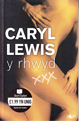 Beispielbild fr Cyfres Stori Sydyn: Y Rhwyd zum Verkauf von WorldofBooks