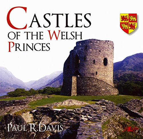 9780862439705: Castles of the Welsh Princes [Lingua Inglese]