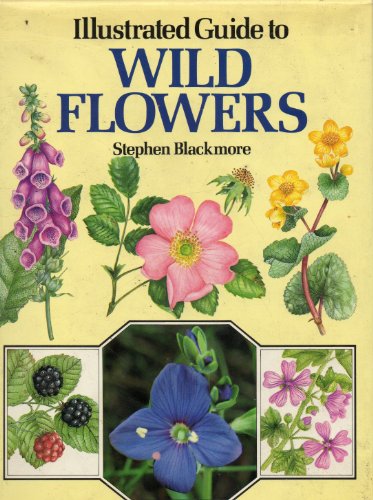 Beispielbild fr Illustrated Guide to Wild Flowers zum Verkauf von WorldofBooks
