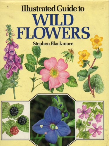 Stock image for Illustrated Guide to Wild Flowers for sale by WorldofBooks