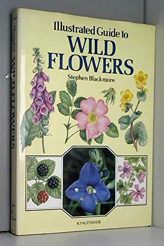 Stock image for Illustrated Guide to Wild Flowers for sale by WorldofBooks