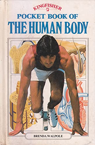 Stock image for Pocket Book of the Human Body (Kingfisher pocket books) for sale by WorldofBooks