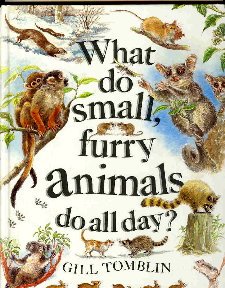 Stock image for What Do Small, Furry Animals Do All Day? for sale by WorldofBooks