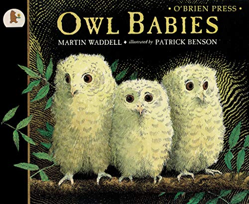 9780862783921: Owl Babies