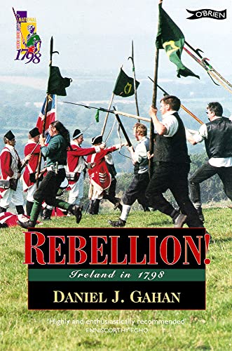 Beispielbild fr Rebellion!: Ireland in 1798 zum Verkauf von HPB Inc.
