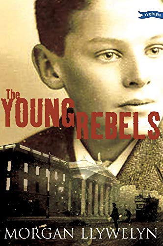 Imagen de archivo de The Young Rebels a la venta por ThriftBooks-Dallas