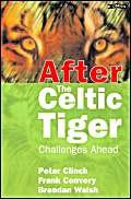 Imagen de archivo de After the Celtic Tiger a la venta por Ergodebooks