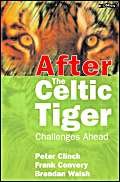 Stock image for After the Celtic Tiger for sale by Ergodebooks