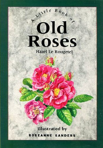 Beispielbild fr A Little Book of Old Roses zum Verkauf von WorldofBooks