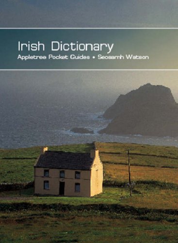 Stock image for Irish Dictionary - Pocket Guide (Pocket Guides) (Irish Edition) for sale by Dunaway Books