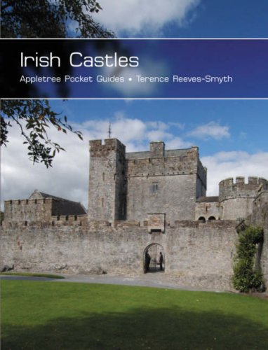 Stock image for Irish Castles (Pocket Guides) for sale by Irish Booksellers