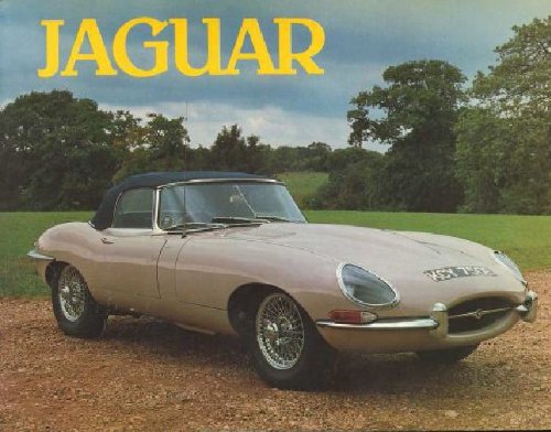 Imagen de archivo de Jaguar a la venta por Irolita Books