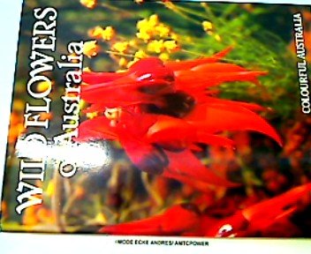 Stock image for Wild Flowers of Australia for sale by Jenhams Books