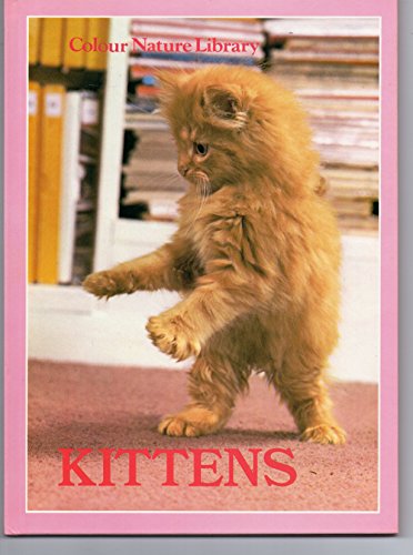 Beispielbild fr Kittens - 3 zum Verkauf von WorldofBooks