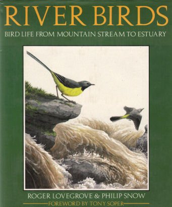 Imagen de archivo de River Birds: Bird Life from Mountain Stream to Estuary a la venta por AwesomeBooks