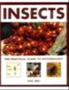 Insects the Practical Guide to Entomology (9780862880132) by Imes, Rick