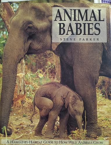 Animal Babies - A Habitat-by-Habitat Guide to How Wild Animals Grow.