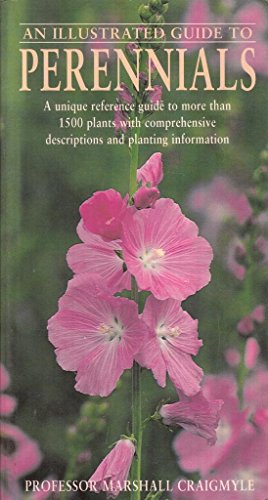 Stock image for AN ILLUSTRATED GUIDE TO PERENNIALS. A UNIQUE REFERENCE GUIDE TO MORE THAN 1500 PLANTS WITH COMPREHENSIVE DESCRIPTIONS AND PLANTING INFORMATION. for sale by AwesomeBooks