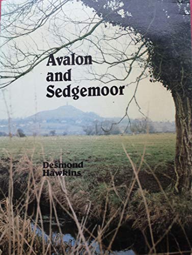 Avalon and Sedgemoor