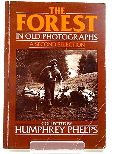Beispielbild fr The Forest : In Old Photographs: A Second Selection zum Verkauf von Better World Books