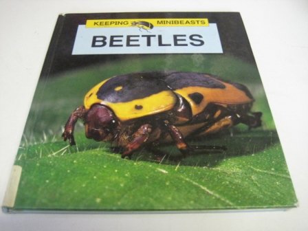 9780863138454: Beetles (Keeping Minibeasts)