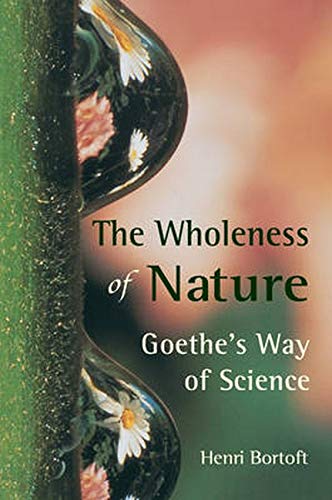9780863152382: The Wholeness of Nature: Goethe's Way of Science