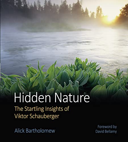 9780863154324: Hidden Nature: The Startling Insights of Viktor Schauberger