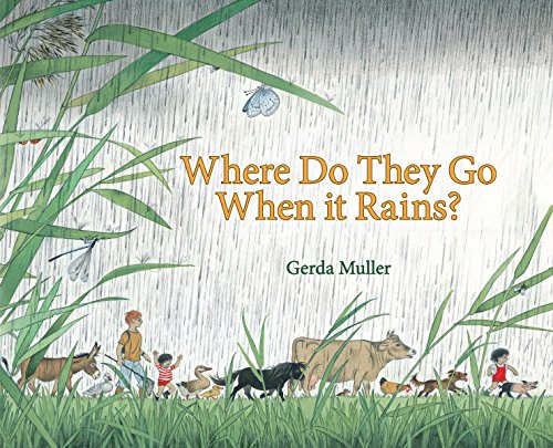 Stock image for Where Do They Go When It Rains? for sale by ZBK Books