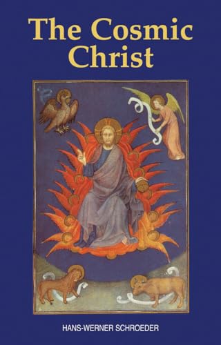 Beispielbild für The Cosmic Christ zum Verkauf von BooksRun