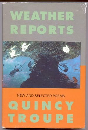 9780863160035: Weather Reports: New and Selected Poems