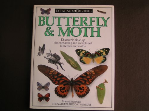 Stock image for Butterfly & Moth (DK Eyewitness) for sale by AwesomeBooks