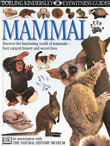 Stock image for Mammal: Discover the fascinating world of mammals - their natural history and secret lives (In association with The Natural History Museum) (Eyewitness Guides # 11) for sale by WorldofBooks