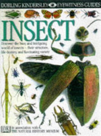 Stock image for Insect (Eyewitness Guides) for sale by AwesomeBooks