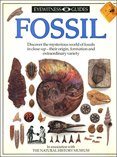 9780863184093: FOSSIL (Hb) (DK Eyewitness)