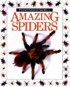 Imagen de archivo de Amazing Spiders (Amazing worlds) a la venta por Greener Books