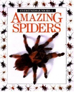 Stock image for Amazing Spiders for sale by Better World Books