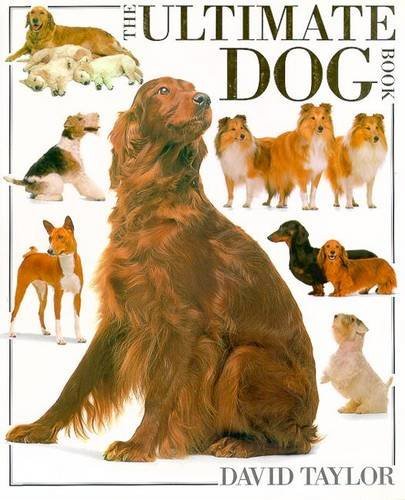 Beispielbild fr The Ultimate Dog Book zum Verkauf von WorldofBooks