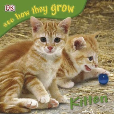 Imagen de archivo de Kitten a la venta por Better World Books Ltd