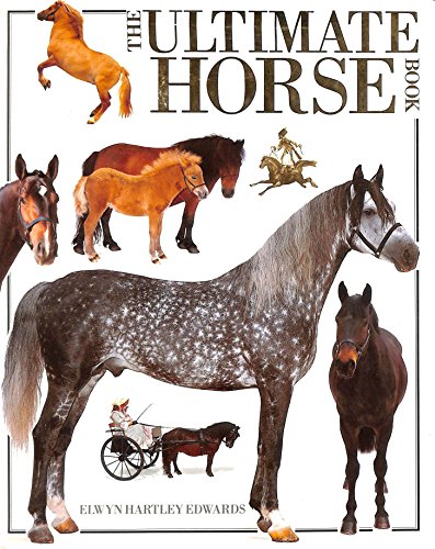 Stock image for The Ultimate Horse Book for sale by SecondSale