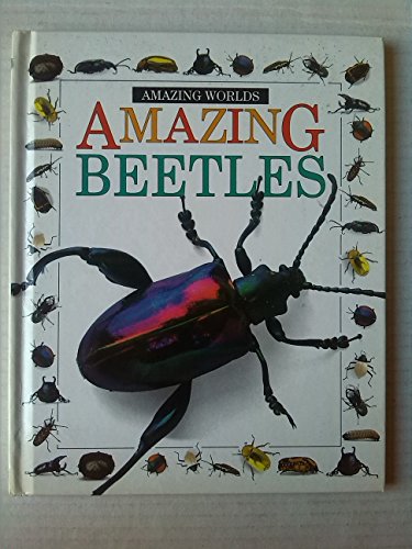 Beispielbild fr Amazing Worlds 14: Beetles zum Verkauf von WorldofBooks