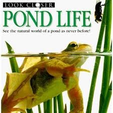 Stock image for Pond life for sale by Tacoma Book Center