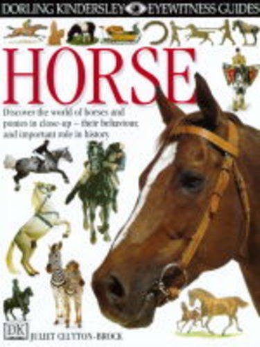 Beispielbild fr DK Eyewitness Guides: Horse zum Verkauf von WorldofBooks