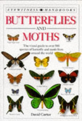 9780863188091: Eyewitness Handbook: 03 Butterflies & Moths