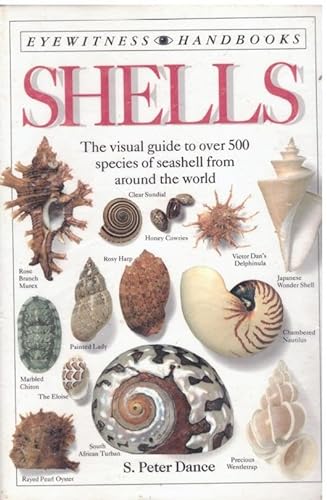 Beispielbild fr Eyewitness Handbook: 02 Shells zum Verkauf von WorldofBooks