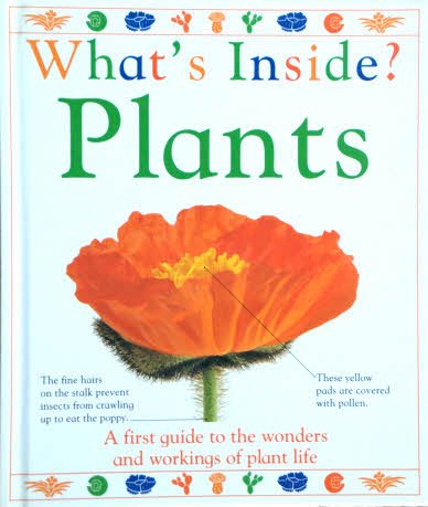 Stock image for What's inside? Plants for sale by WorldofBooks