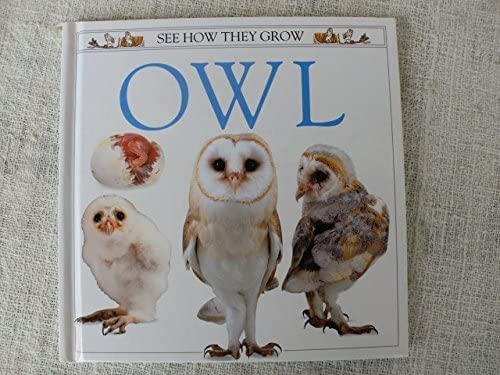 Beispielbild fr Owl zum Verkauf von AwesomeBooks