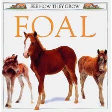 Imagen de archivo de See How They Grow: 12 Foal a la venta por WorldofBooks